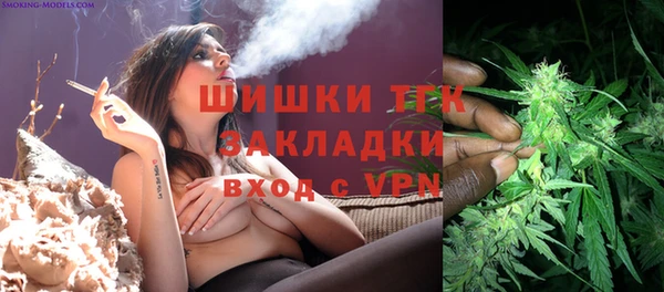 дживик Абинск